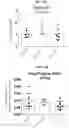 Fig. 31 - Anti-Tau antibodies and methods of use thereof