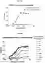 Fig. 40 - Anti-Tau antibodies and methods of use thereof