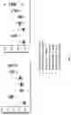 Fig. 04 - Antibodies for IL-17C