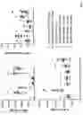 Fig. 05 - Antibodies for IL-17C