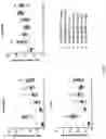 Fig. 09 - Antibodies for IL-17C