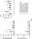 Fig. 10 - Antibodies for IL-17C