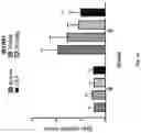 Fig. 11 - Antibodies for IL-17C