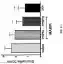 Fig. 12 - Antibodies for IL-17C
