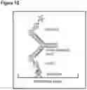 Fig. 03 - Techniques for predicting, detecting and reducing aspecific protein interference in assays involving immunoglobulin single variable domains