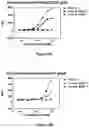 Fig. 06 - Bi-specific monovalent diabodies that are capable of binding CD19 and CD3, and uses thereof