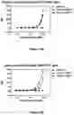 Fig. 07 - Bi-specific monovalent diabodies that are capable of binding CD19 and CD3, and uses thereof