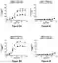 Fig. 10 - Bi-specific monovalent diabodies that are capable of binding CD19 and CD3, and uses thereof
