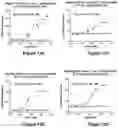 Fig. 13 - Bi-specific monovalent diabodies that are capable of binding CD19 and CD3, and uses thereof