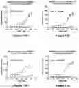 Fig. 14 - Bi-specific monovalent diabodies that are capable of binding CD19 and CD3, and uses thereof