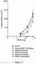 Fig. 18 - Bi-specific monovalent diabodies that are capable of binding CD19 and CD3, and uses thereof
