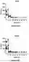 Fig. 22 - Bi-specific monovalent diabodies that are capable of binding CD19 and CD3, and uses thereof