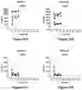 Fig. 23 - Bi-specific monovalent diabodies that are capable of binding CD19 and CD3, and uses thereof