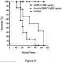 Fig. 25 - Bi-specific monovalent diabodies that are capable of binding CD19 and CD3, and uses thereof