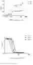 Fig. 05 - Recombinant bispecific antibodies to PD-L1 and CTLA-4