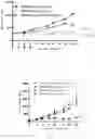 Fig. 08 - Recombinant bispecific antibodies to PD-L1 and CTLA-4