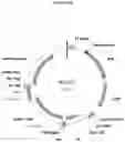 Fig. 15 - Antibodies that modulate a biological activity expressed by a cell