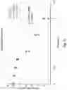 Fig. 12 - ANTIBODY FORMULATION