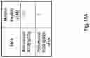 Fig. 16 - ANTIBODY FORMULATION