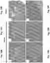 Fig. 24 - ANTIBODY FORMULATION