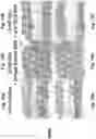 Fig. 25 - ANTIBODY FORMULATION
