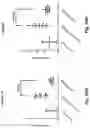 Fig. 29 - ANTIBODY FORMULATION