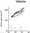 Fig. 01 - DOSAGE REGIMEN FOR COMBINATION THERAPY USING PD-1 AXIS BINDING ANTAGONISTS AND GPC3 TARGETING AGENT