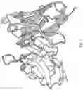 Fig. 02 - Nucleic acid, chimeric antigen receptor expression plasmid, chimeric antigen receptor expressing cell, use thereof, and pharmaceutical composition for treating cancer