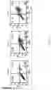 Fig. 09 - Nucleic acid, chimeric antigen receptor expression plasmid, chimeric antigen receptor expressing cell, use thereof, and pharmaceutical composition for treating cancer