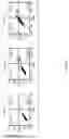 Fig. 19 - Nucleic acid, chimeric antigen receptor expression plasmid, chimeric antigen receptor expressing cell, use thereof, and pharmaceutical composition for treating cancer