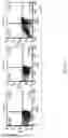 Fig. 25 - Nucleic acid, chimeric antigen receptor expression plasmid, chimeric antigen receptor expressing cell, use thereof, and pharmaceutical composition for treating cancer