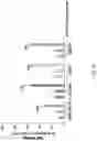 Fig. 33 - Nucleic acid, chimeric antigen receptor expression plasmid, chimeric antigen receptor expressing cell, use thereof, and pharmaceutical composition for treating cancer