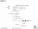 Fig. 04 - Compositions and methods for treating beta-globinopathies