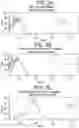 Fig. 07 - Human antigen binding proteins that bind β-klotho, FGF receptors and complexes thereof