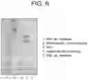Fig. 11 - Human antigen binding proteins that bind β-klotho, FGF receptors and complexes thereof