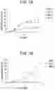 Fig. 12 - Human antigen binding proteins that bind β-klotho, FGF receptors and complexes thereof
