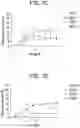 Fig. 13 - Human antigen binding proteins that bind β-klotho, FGF receptors and complexes thereof