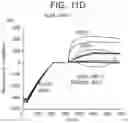 Fig. 20 - Human antigen binding proteins that bind β-klotho, FGF receptors and complexes thereof