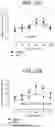 Fig. 40 - Human antigen binding proteins that bind β-klotho, FGF receptors and complexes thereof
