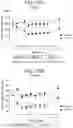 Fig. 46 - Human antigen binding proteins that bind β-klotho, FGF receptors and complexes thereof