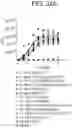 Fig. 52 - Human antigen binding proteins that bind β-klotho, FGF receptors and complexes thereof