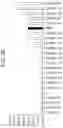 Fig. 55 - Human antigen binding proteins that bind β-klotho, FGF receptors and complexes thereof
