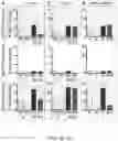 Fig. 09 - Compositions and methods to improve anti-angiogenic therapy and immunotherapy