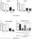 Fig. 11 - Compositions and methods to improve anti-angiogenic therapy and immunotherapy