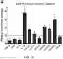 Fig. 12 - Compositions and methods to improve anti-angiogenic therapy and immunotherapy