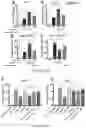 Fig. 13 - Compositions and methods to improve anti-angiogenic therapy and immunotherapy