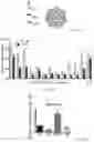 Fig. 14 - Compositions and methods to improve anti-angiogenic therapy and immunotherapy