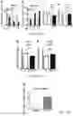 Fig. 17 - Compositions and methods to improve anti-angiogenic therapy and immunotherapy