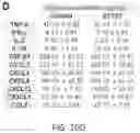 Fig. 19 - Compositions and methods to improve anti-angiogenic therapy and immunotherapy