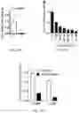Fig. 25 - Compositions and methods to improve anti-angiogenic therapy and immunotherapy